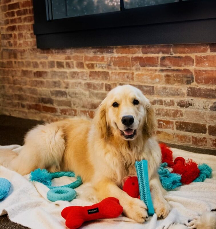 486638457_1235664068361852_7355992513037768_n (1)