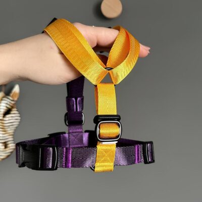 anatomicheskaya-shlejka-dlya-sobak-yellow-plum-ruchnoj-raboty