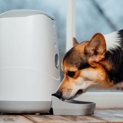 avtokormushka-dlya-sobak-s-wi-fi-petoneer-nutri-feeder-sobaka-pet