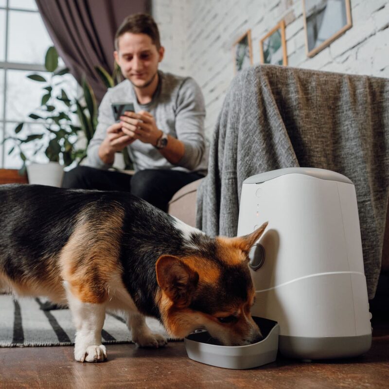 avtokormushka-dlya-sobak-s-wi-fi-petoneer-nutri-feeder-sobaka-v-interere