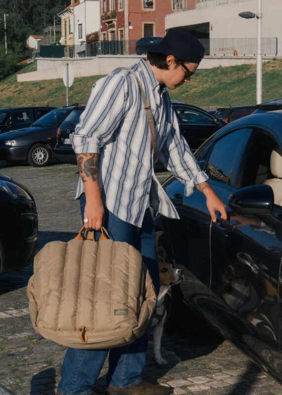 avtokreslo-dlya-sobak-huntingpony-bezhevoe-peremeshchenie