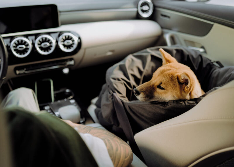 avtokreslo-dlya-sobak-huntingpony-chernoe-sobaka-poezdka