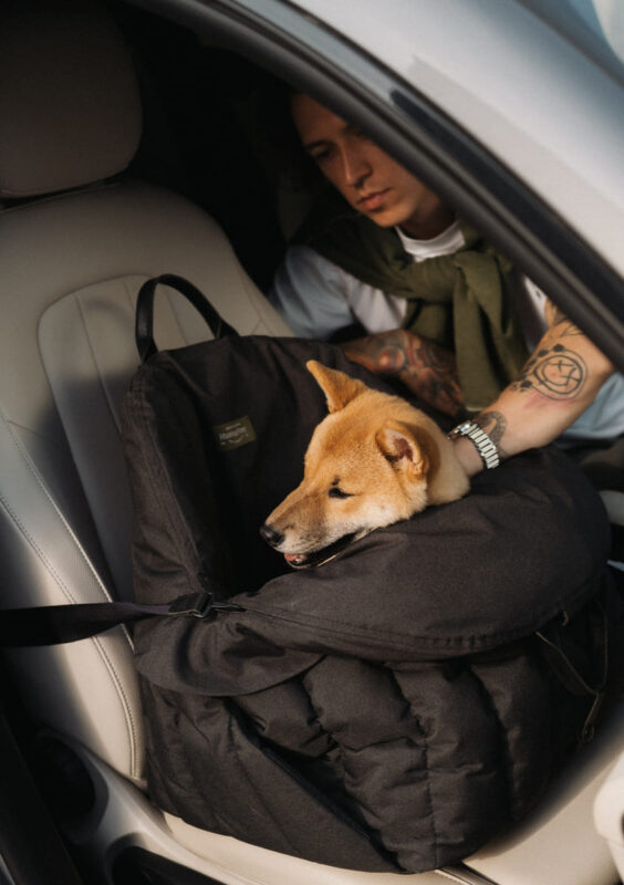 avtokreslo-dlya-sobak-huntingpony-chernoe-sobaka-v-mashine