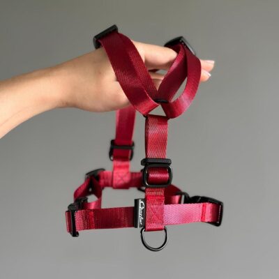 ehlegantnaya-anatomicheskaya-shlejka-dlya-sobak-solid-wine