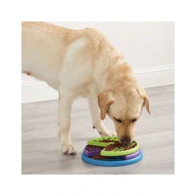 igra-golovolomka-dlya-sobak-nina-ottosson-lickin-layers-sobaka-v-interere