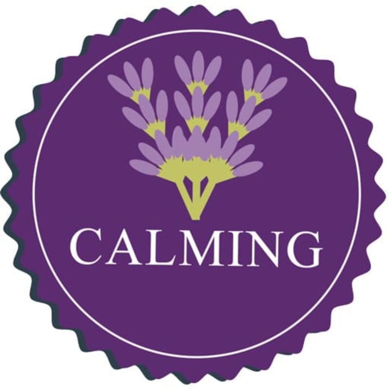 igrushka-dlya-sobak-aromadog-big-head-mishka-upakovka-aromat