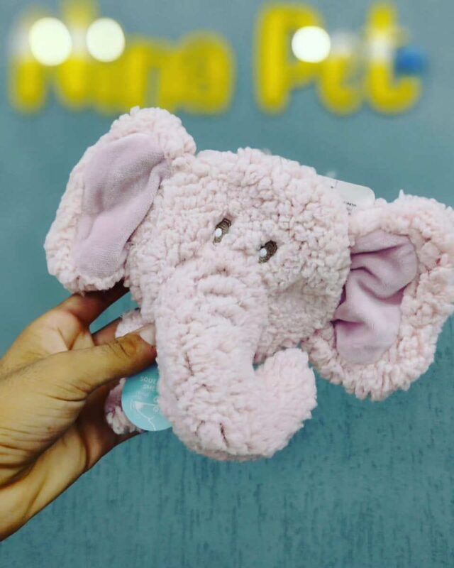 igrushka-dlya-sobak-aromadog-big-head-slon-detali