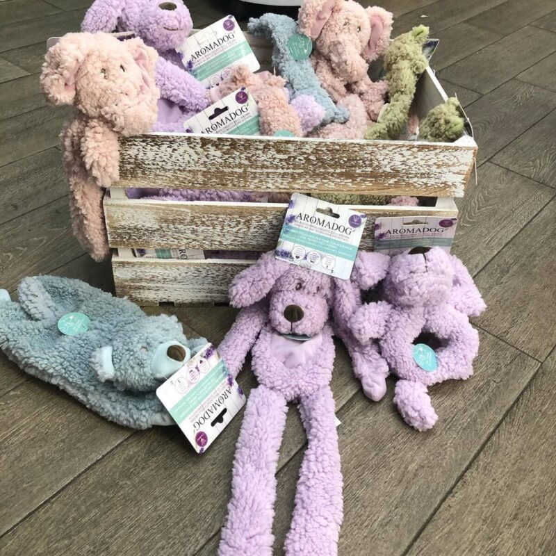 igrushka-dlya-sobak-aromadog-big-head-sobachka-assortiment-2