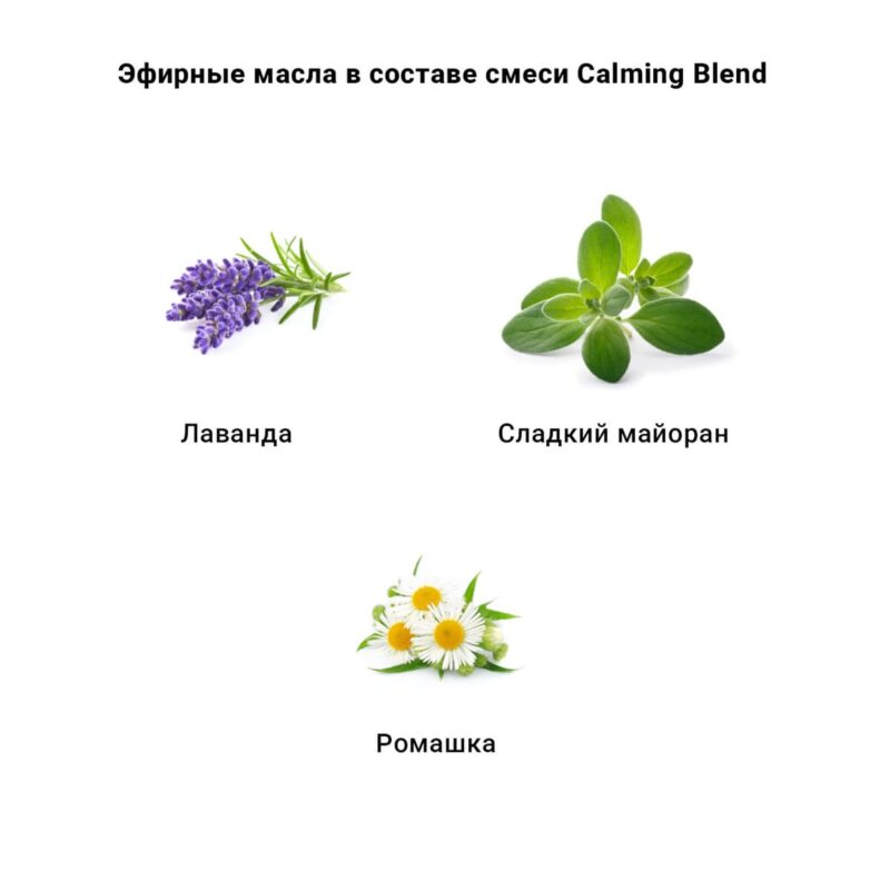 igrushka-dlya-sobak-aromodog-mishka-s-hvostom-25-sm-detali