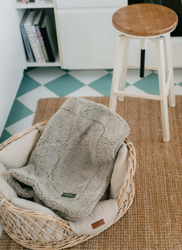 lezhanka-dlya-sobak-iz-lozy-huntingpony-na-balkone-mebel