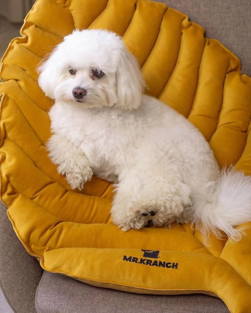 Лежанка для собак Mr.Kranch листочек, охра 6 Лежанка для собак Mr.Kranch листочек, охра — изображение 6