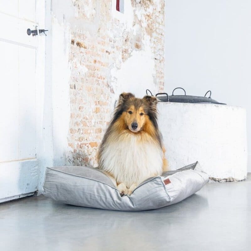 matras-dlya-sobak-designed-by-lotte-velveti-seryj-interer