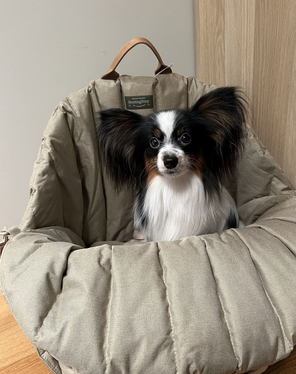 Сумка переноска для собак "Пони", бежевая 10 Сумка переноска для собак "Пони", бежевая — изображение 10