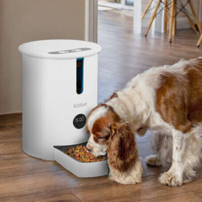 umnaya-kormushka-dlya-sobak-elektronnaya-kitfort-kt-2080-sobaka-v-interere