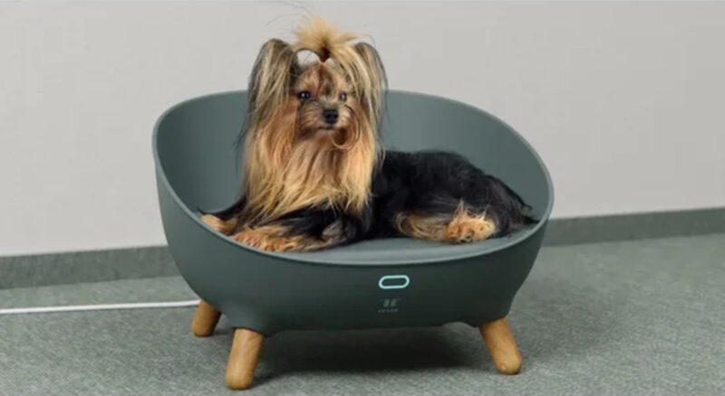 umnaya-lezhanka-c-wi-fi-petoneer-cozy-sofa-sobaka-v-interere