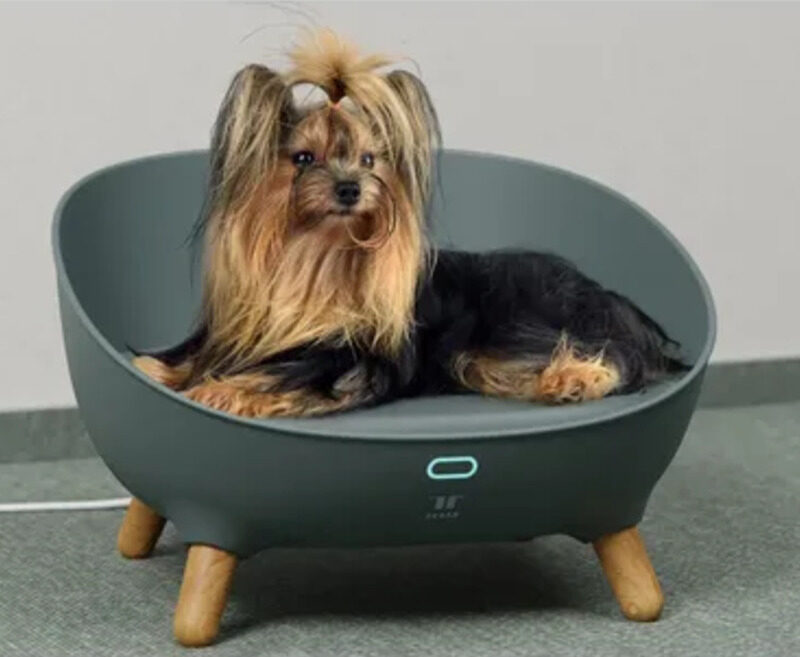 umnaya-lezhanka-c-wi-fi-petoneer-cozy-sofa-sobaka-v-interere