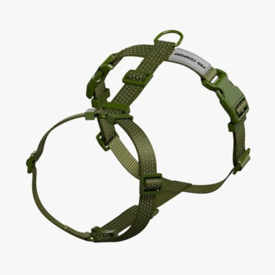 Анатомическая шлейка для собак, зеленая