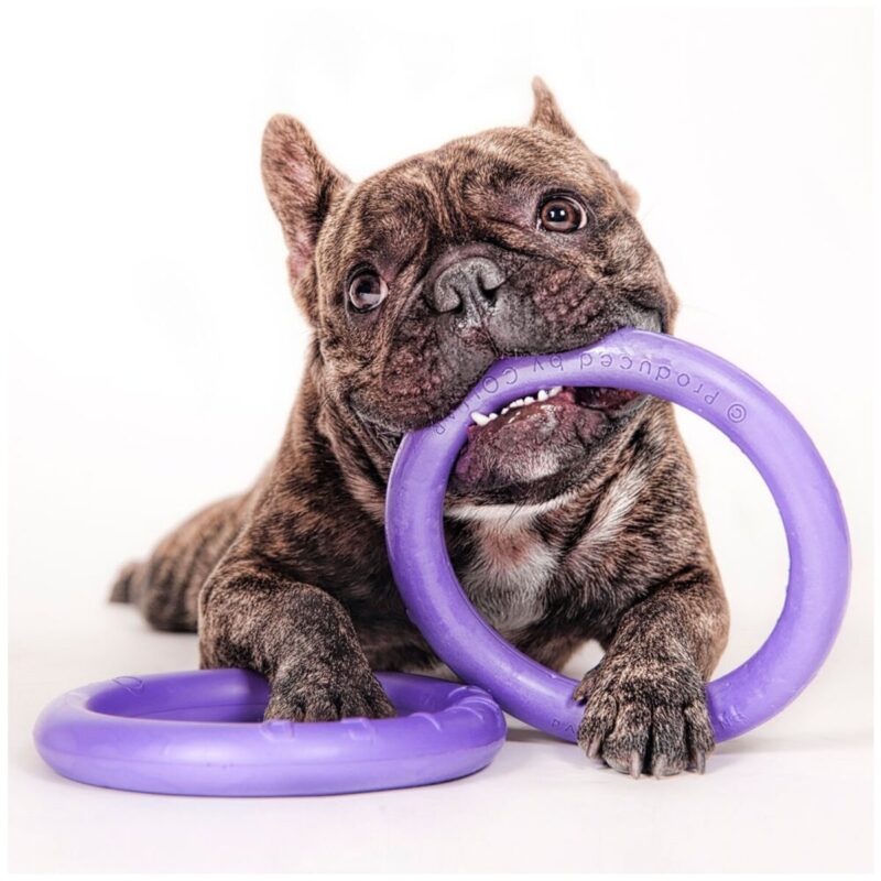 igrushka-dlya-sobak-puller-micro-12-5-sm-sobaka-igra