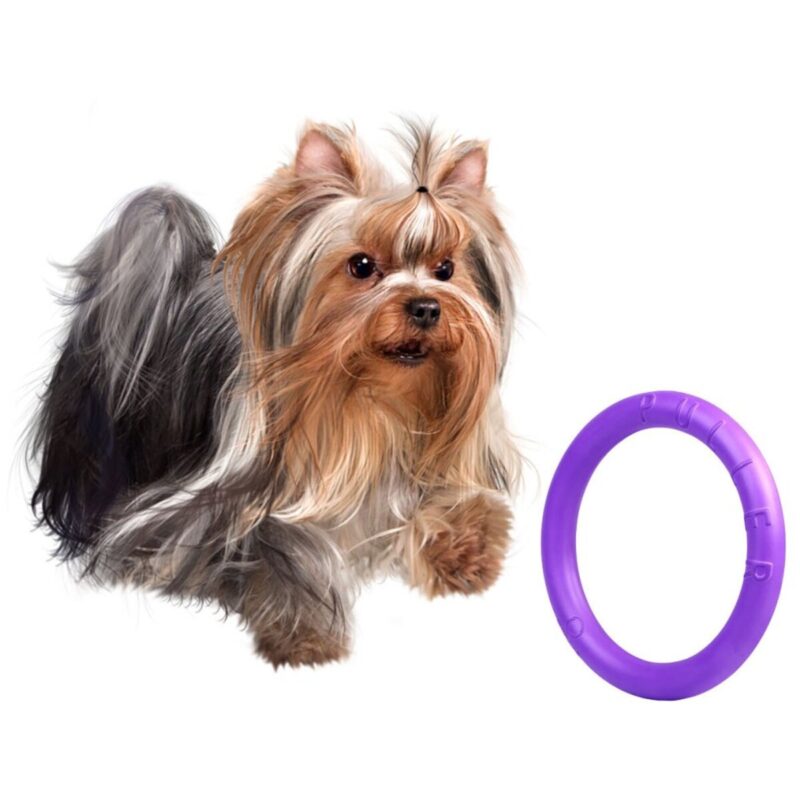 igrushka-dlya-sobak-puller-micro-12-5-sobaka-igra