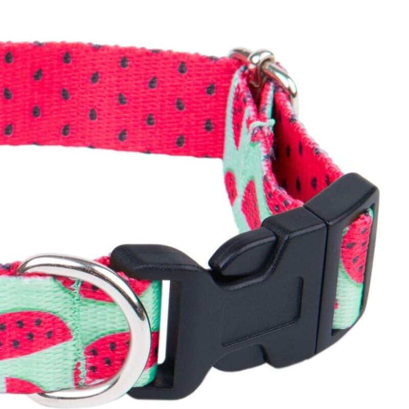 oshejnik-dlya-sobaki-amiplay-behapy-watermelon-detali