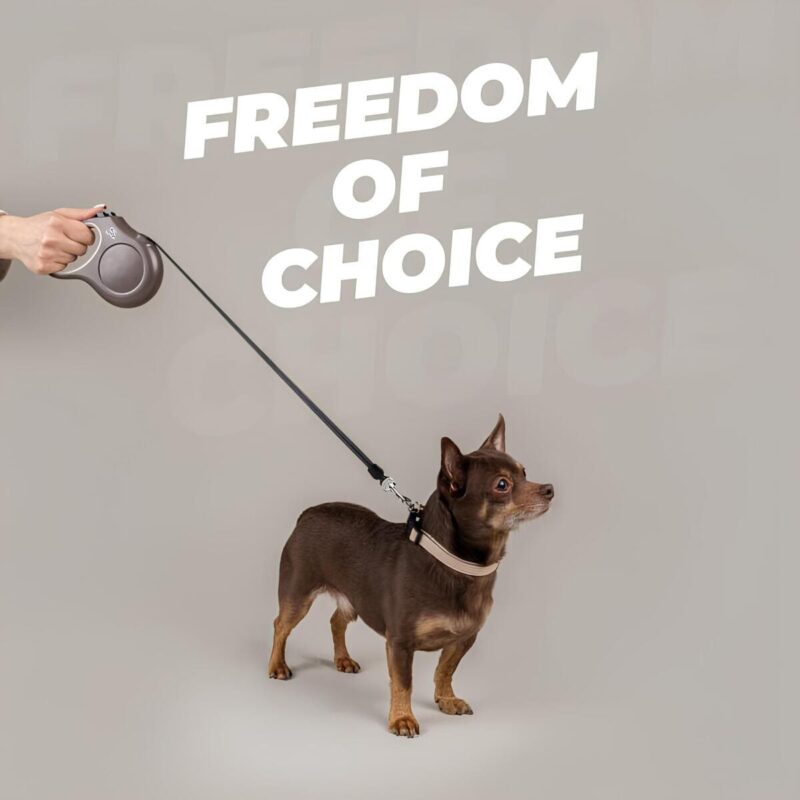 povodok-ruletka-dlya-sobak-amiplay