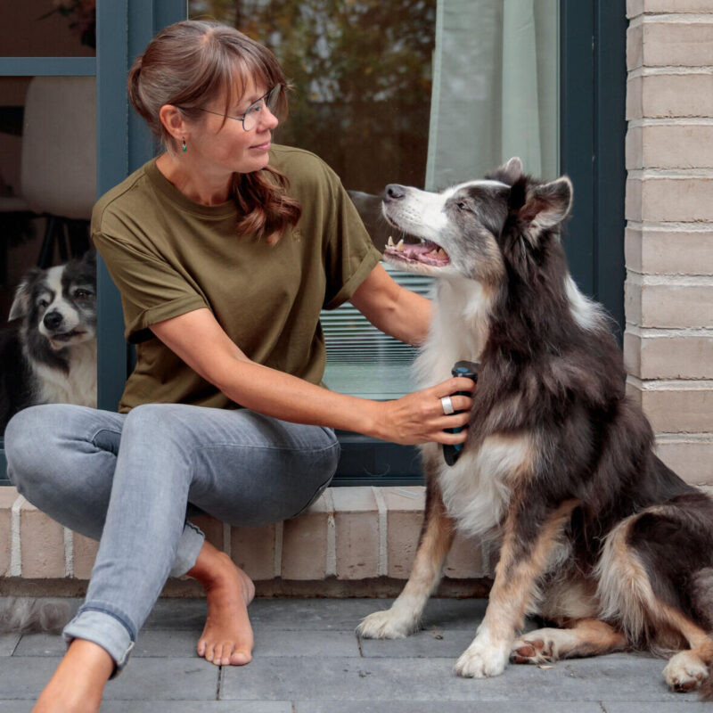 rascheska-dlya-trimminga-sobak-trixie-BorderCollie