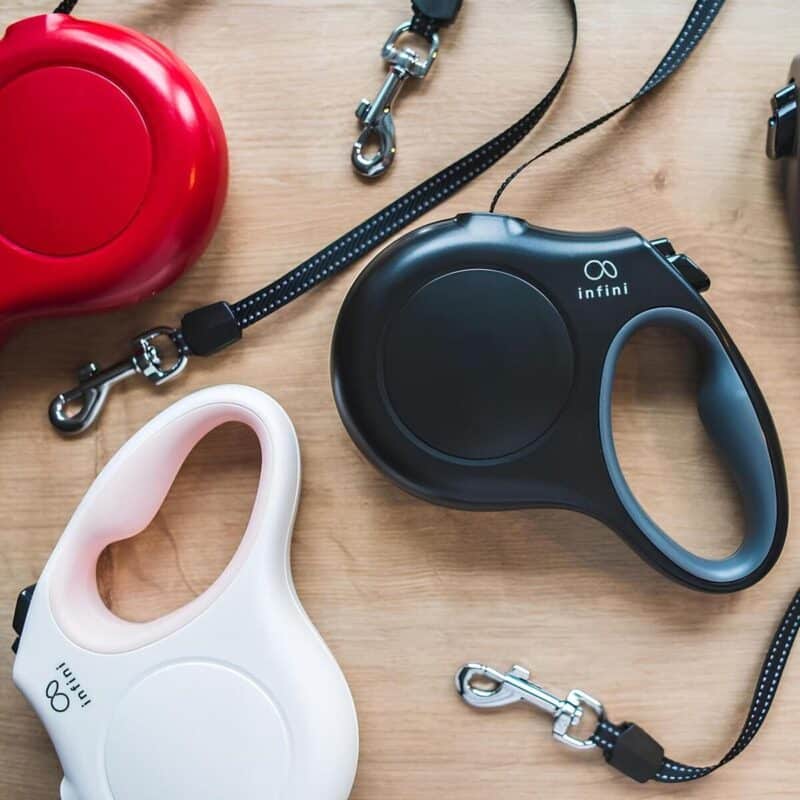 ruletka-dlya-sobak-infini-Freedom-Amiplay