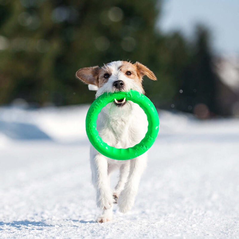 trenirovochnyj-snaryad-dlya-sobak-pitchdog-20-sm-zelenyj-igrat