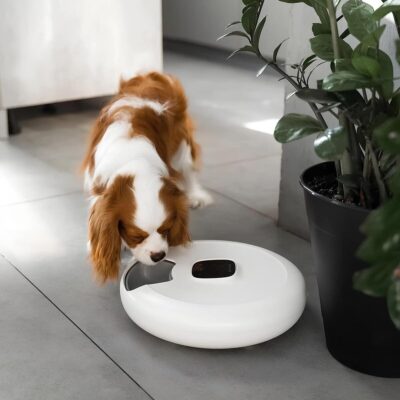 avtokormushka-dlya-malenkikh-sobak-petoneer-nutrispin-feeder