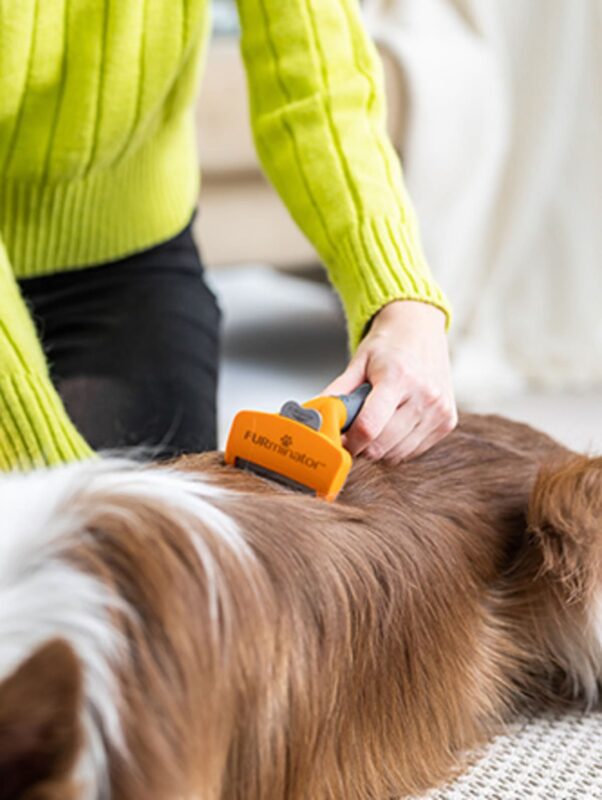 furminator-fur-dog-undercoat-m-long-hair-12-ya-sobaka-sherst