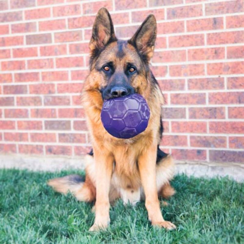 igrushka-dlya-sobak-kong-flexball-igra-sobaka