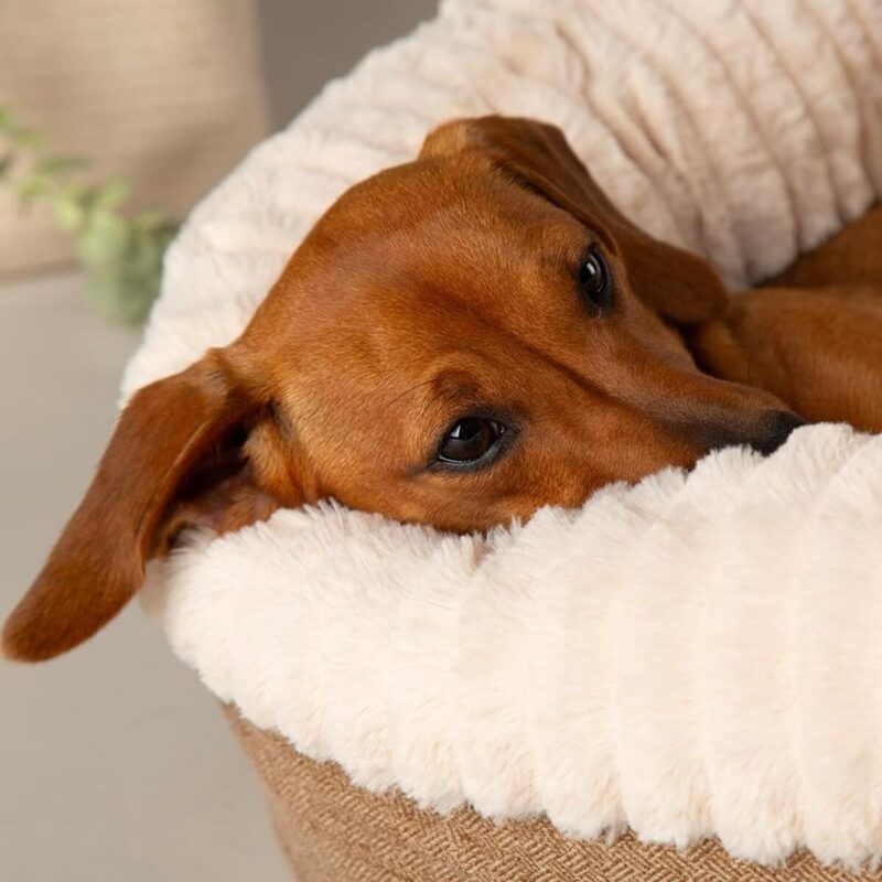 krovat-dlya-sobak-scruffs-ellen-donut-tan-taksa-detali