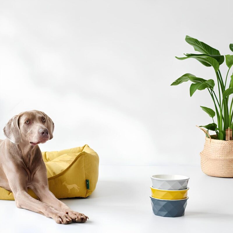 lezhanka-dlya-sobak-hunter-sofa-eiby-dlya-bolshikh-sobak