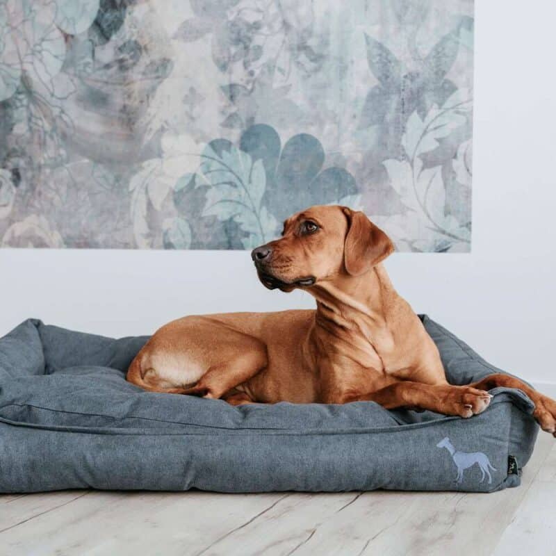 lezhanka-dlya-sobak-hunter-sofa-eiby-dlya-bolshikh-sobak-sinyaya