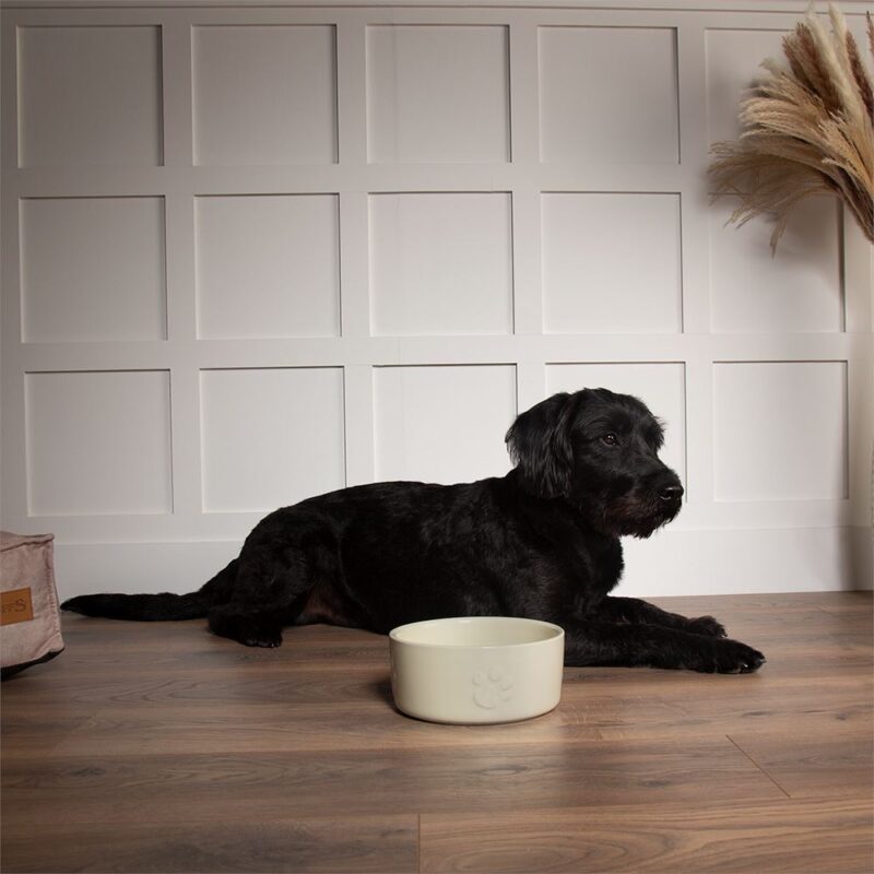 miska-dlya-korma-scruffs-icon-dog-food-bolshoj-obem
