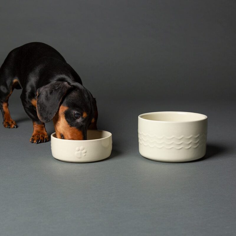 miska-dlya-korma-sobak-scruffs-icon-dog-food-kremovyj-0-4-l