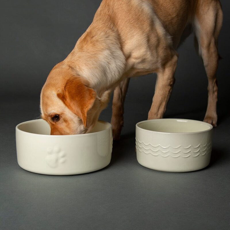 miska-dlya-korma-sobak-scruffs-icon-dog-food-kremovyj-3-5-l