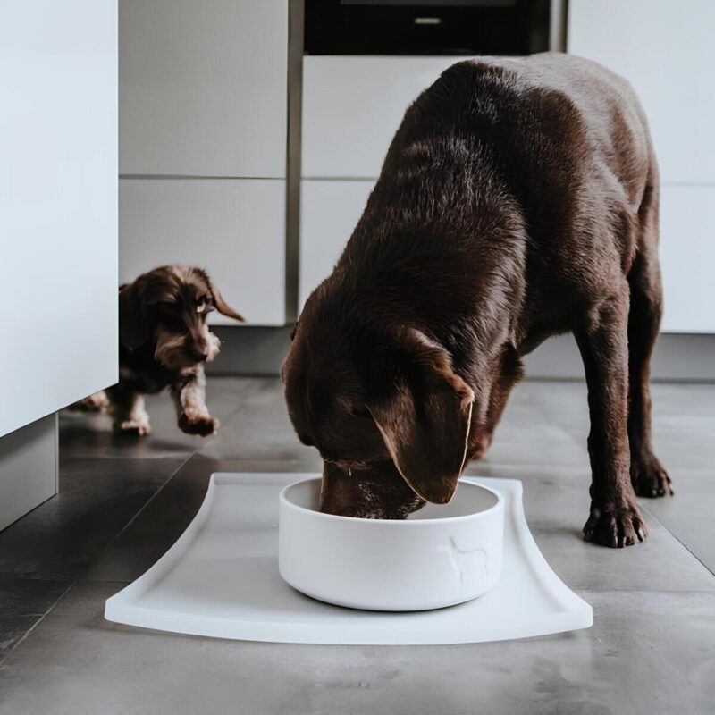 miska-dlya-sobak-hunter-bowl-osby-white-dlya-srednikh-sobak