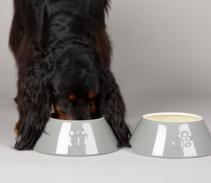 miska-dlya-sobak-scruffs-classic-eared-sobaka-est