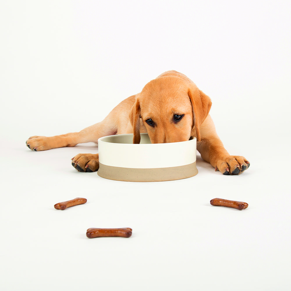 Миска для собак Scruffs Scandi | 0,4-1,3 л (кремовый) 4 Миска для собак Scruffs Scandi | 0,4-1,3 л (кремовый) — изображение 4