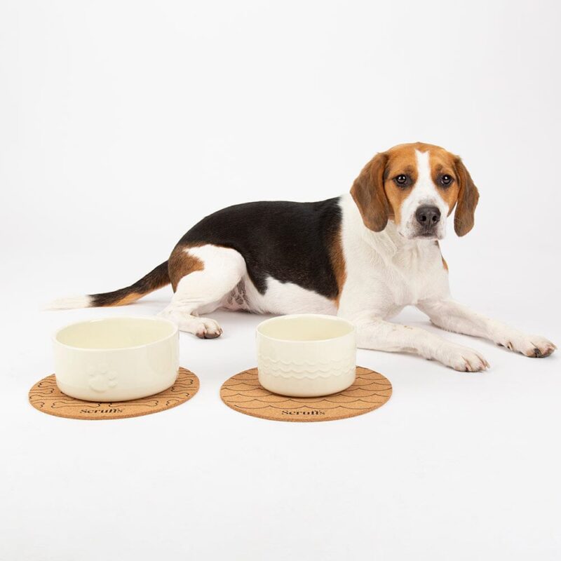 miski-dlya-vody-i-korma-sobak-scruffs-icon-dog-food
