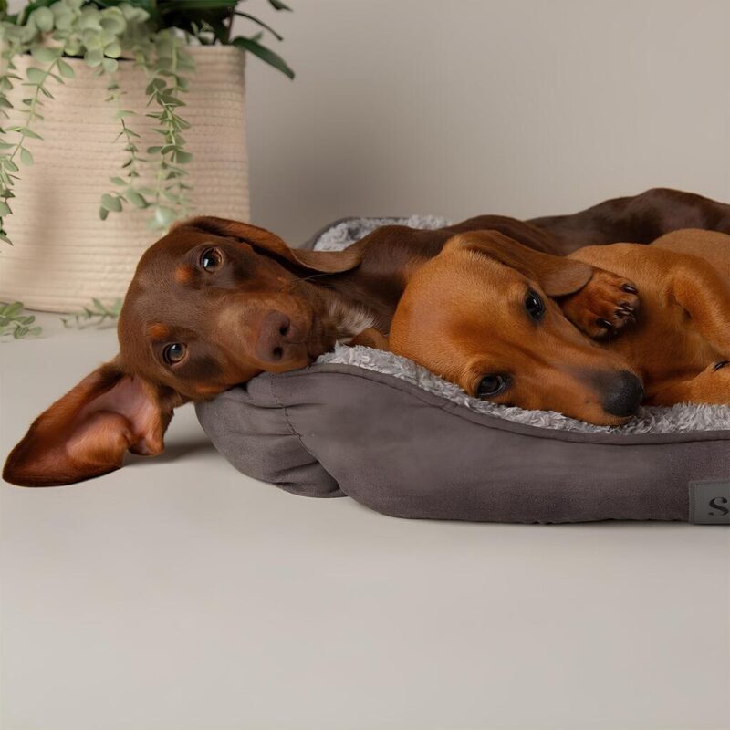 scruffs-cosy-soft-krovat-stilnyy-dizayn-seryy