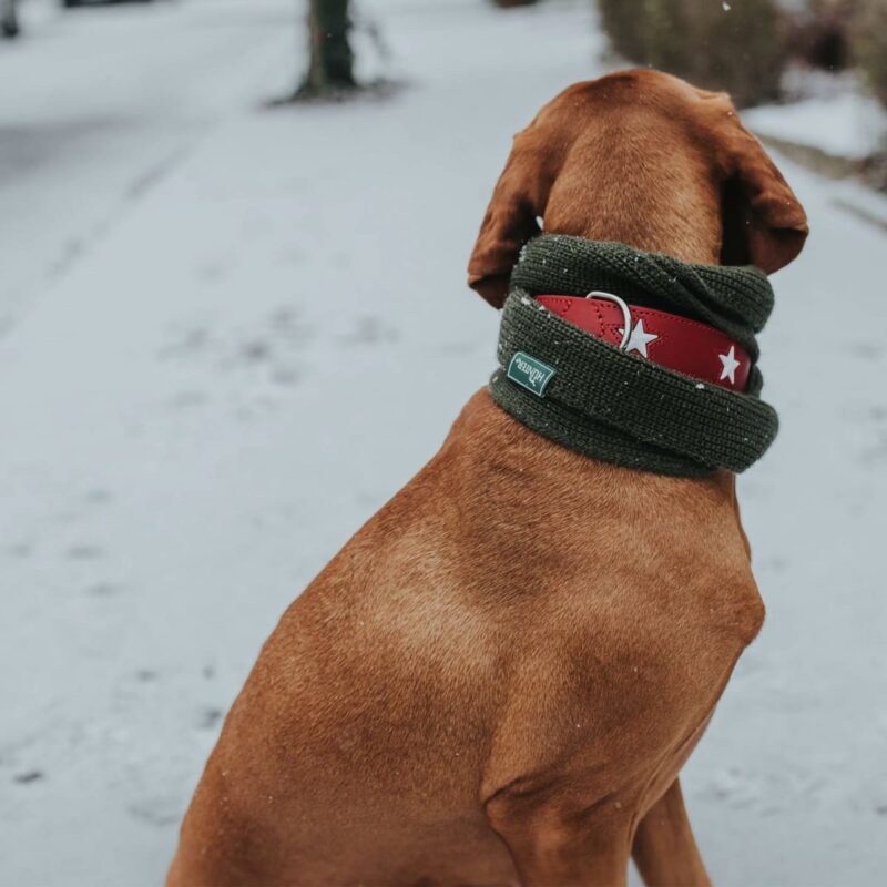 sharf-dlya-sobak-hunter-scarf-nancy-fordog