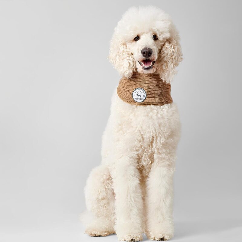 sharfik-dlya-sobaki-hunter-scarf-malmo-pudel