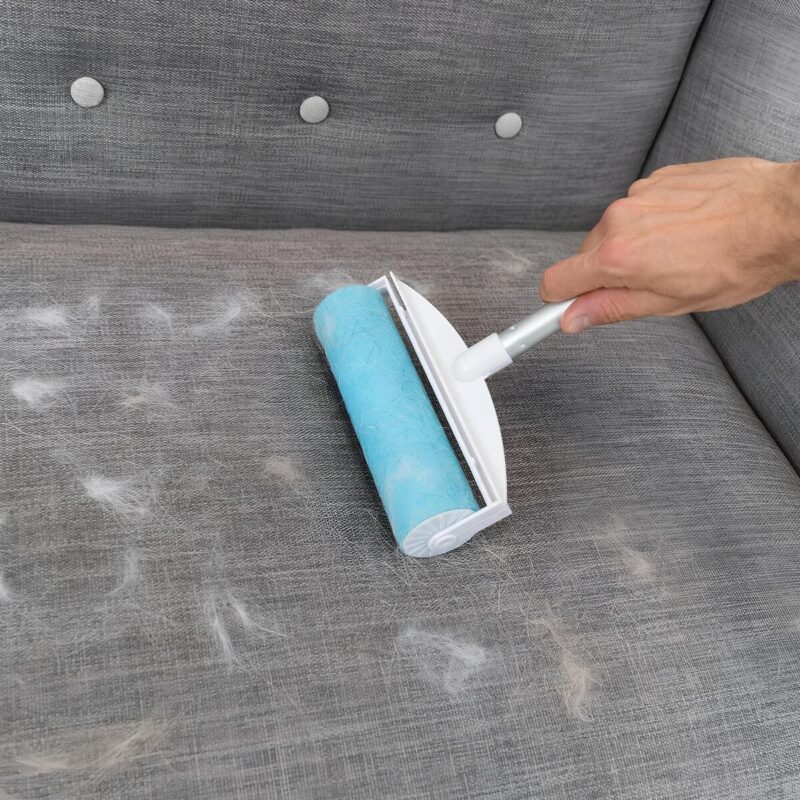 shhyotka-dlya-ochistki-shersti-sobak