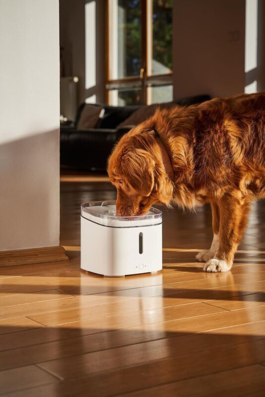 xiaomi-poilka-dlya-sobak-avtomaticheskaya-xiaomi-smart-pet-fountain