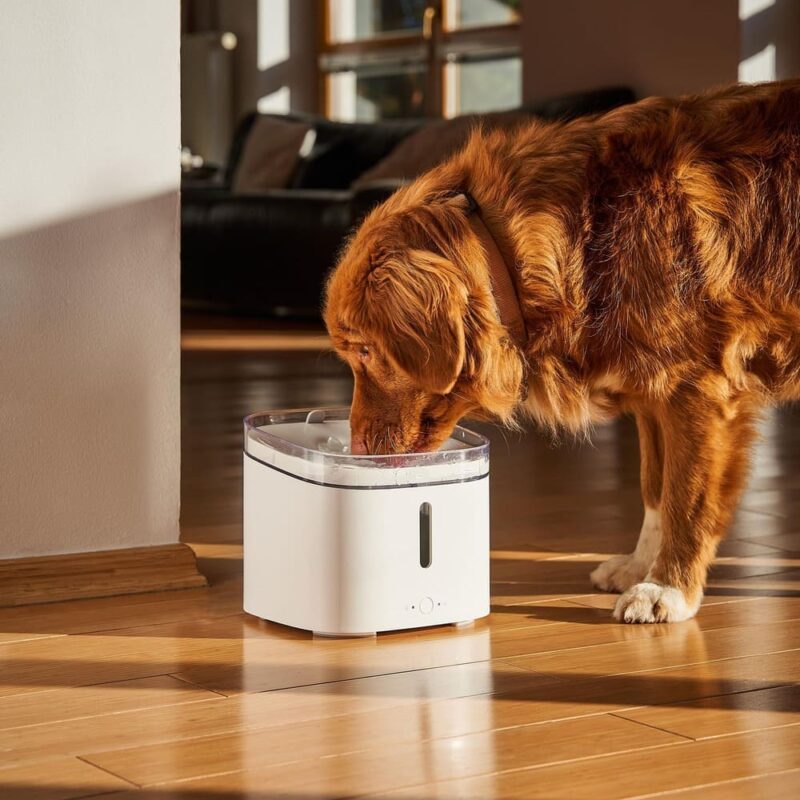 xiaomi-poilka-dlya-sobak-avtomaticheskaya-xiaomi-smart-pet-fountain
