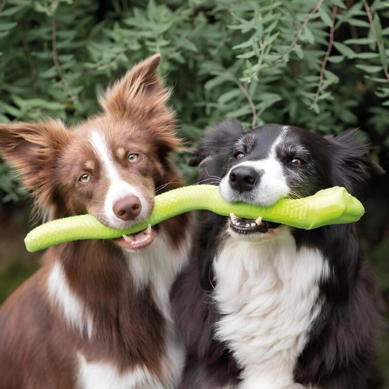 igrushka-dlya-aktivnykh-sobak-trixie-snack-snake