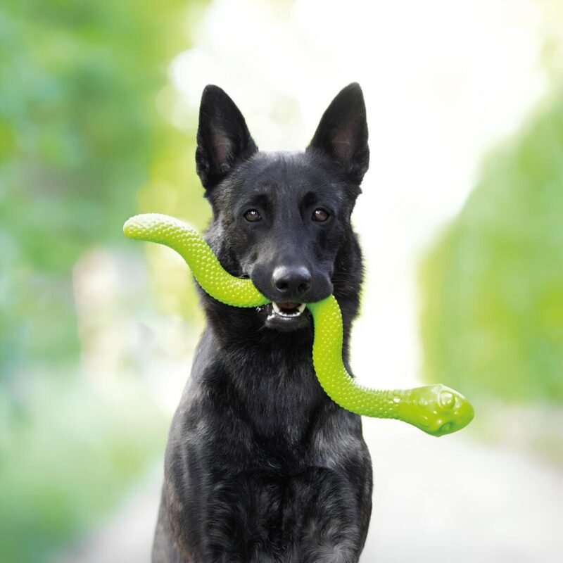 igrushka-dlya-sobak-trixie-uvlekatelnaya-trenirovka