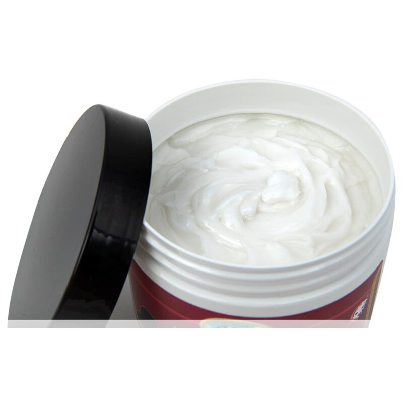 maska-ochishchayushchaya-dlya-sobak-isb-technique-na-osnove-gliny-mertvogo-morya-500-ml-zhidkost